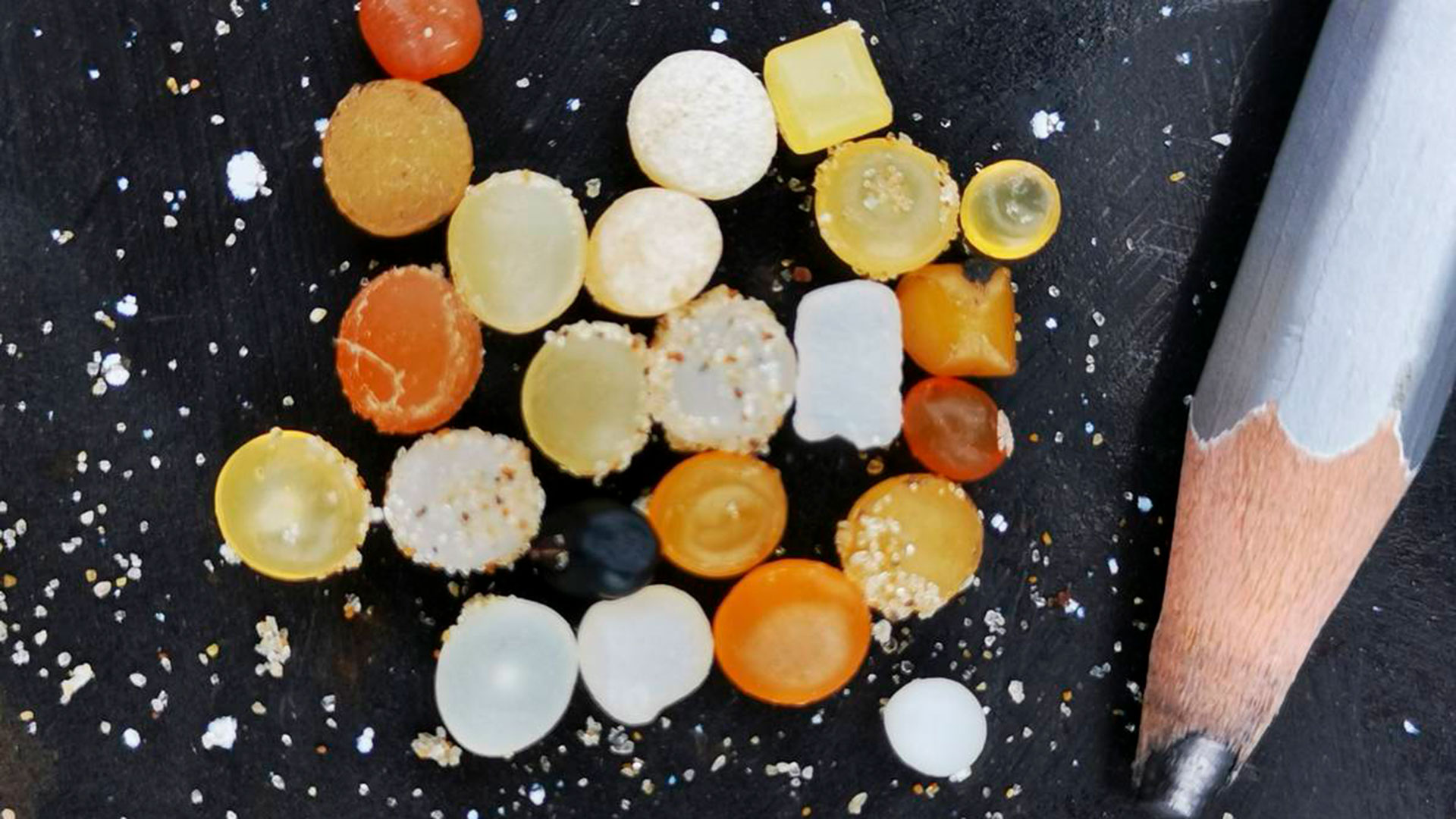 Pellets. Foto cedida a La Diaria por Franco Teixeira De Melo
