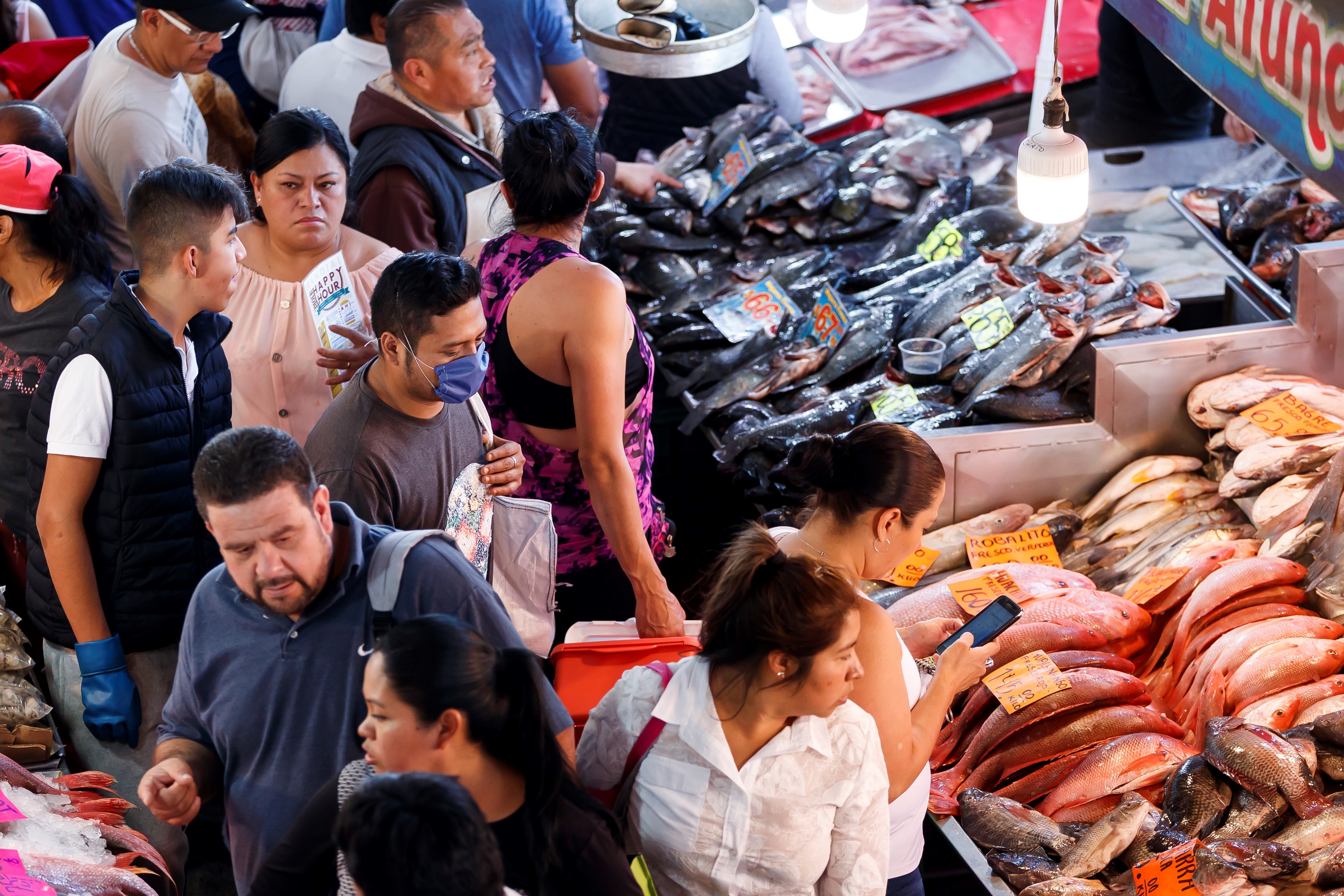 Fraude en venta de bacalao: pescaderías de la CDMX lo sustituyen con  especies en peligro de extinción - Infobae