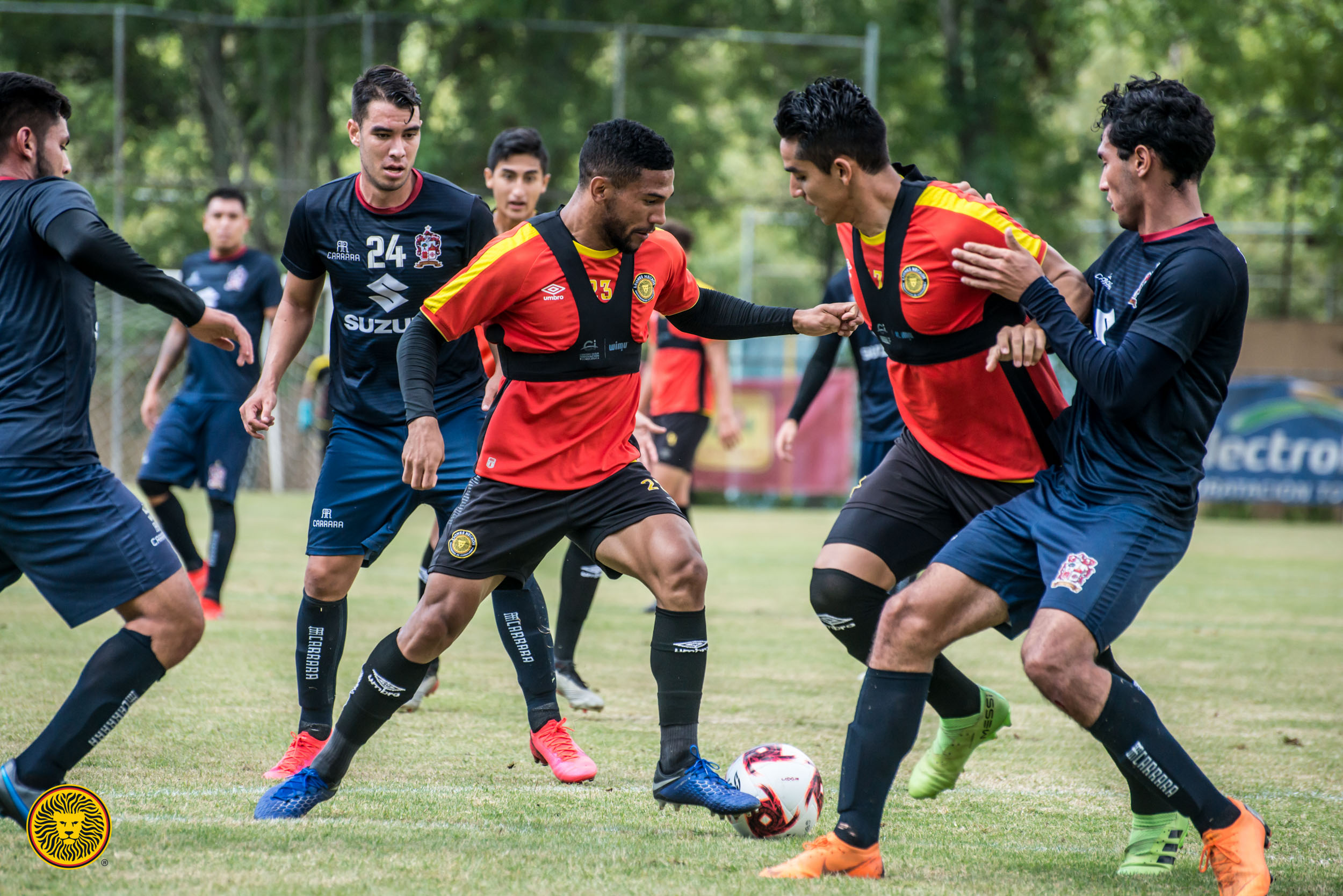 A falta de ascenso, Leones Negros busca el título y está preparado para el  inicio de la Liga de Expansión MX - Infobae