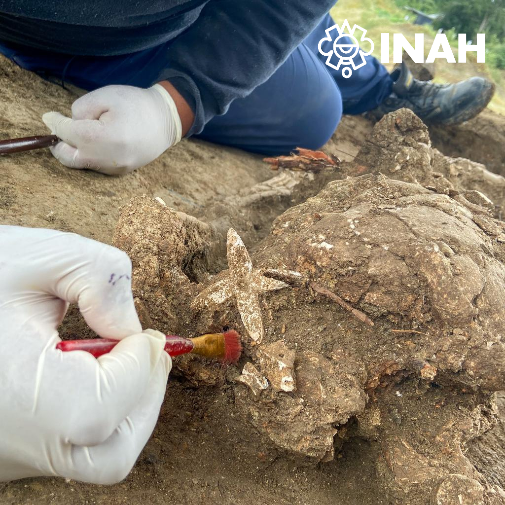 Se encontraron conchas talladas con formas de flores (INAH)