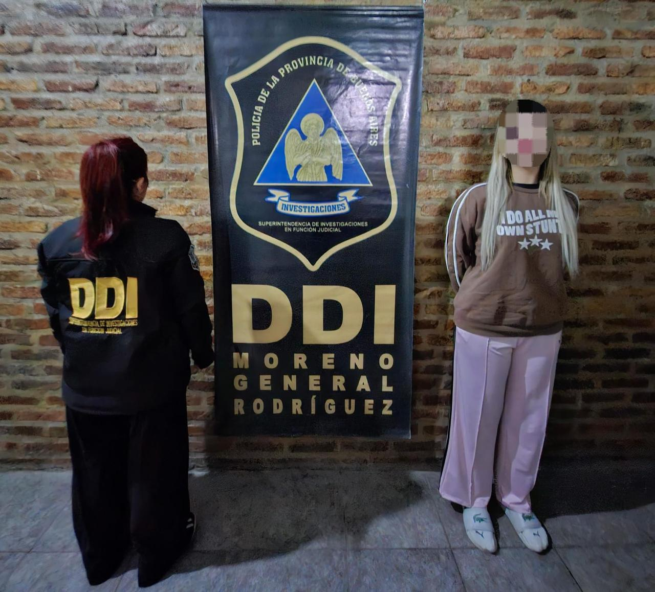 Detuvieron a una joven tras el robo a una casa del Country Banco Provincia: secuestraron millones de pesos, d&oacute;lares y un Audi 
