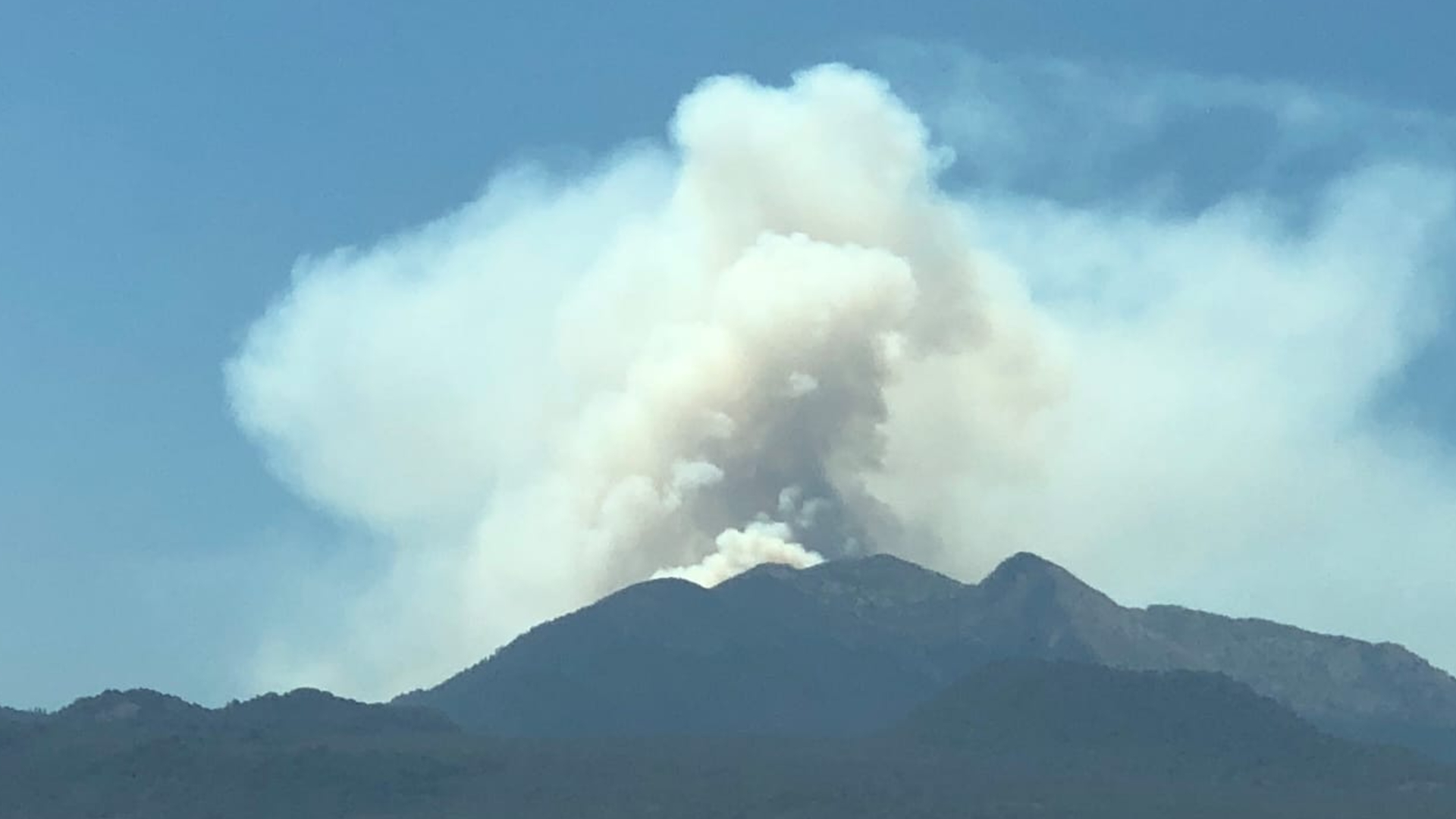 Incendio en el Pico del Águila del Ajusco movilizó equipos de emergencia en  la CDMX - Infobae