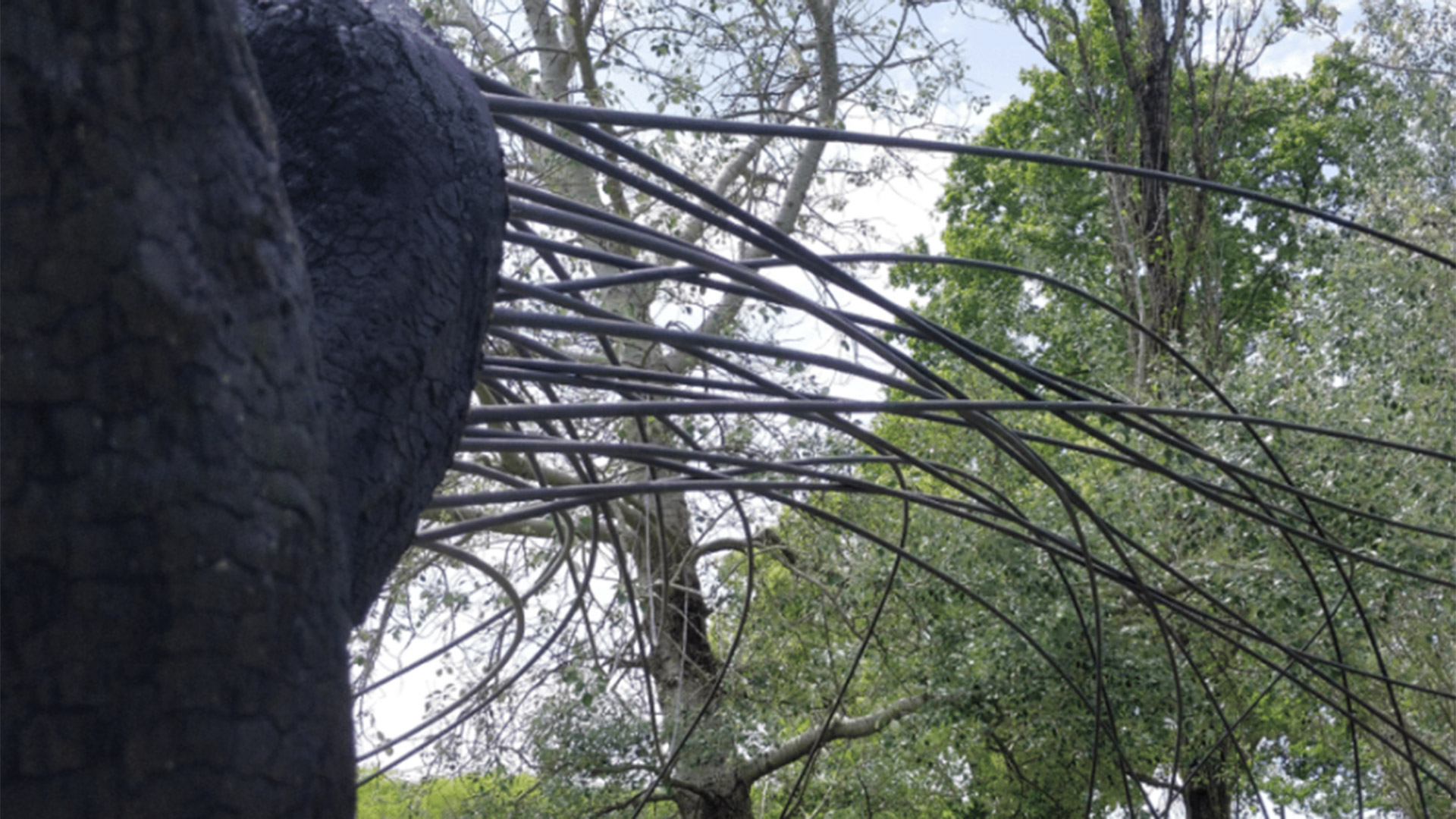 Cayeron dos integrantes de la banda que cometía entraderas en Esteban Echeverría: el video del robo a un vecino mientras dormía