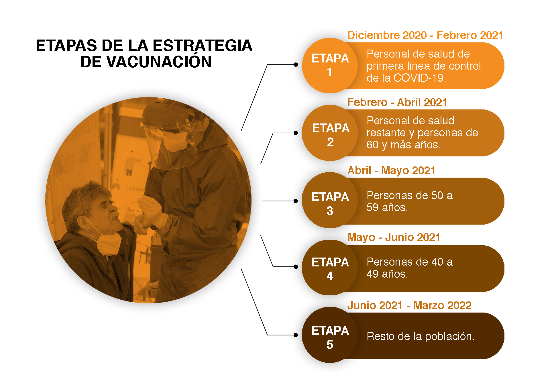 Para el término de enero se adquirirán un millón 420 mil vacunas, con las cuales se espera concluir la vacunación en todo el personal de la salud de primera línea(Infografía: Jovani Silva/ Infobae México)