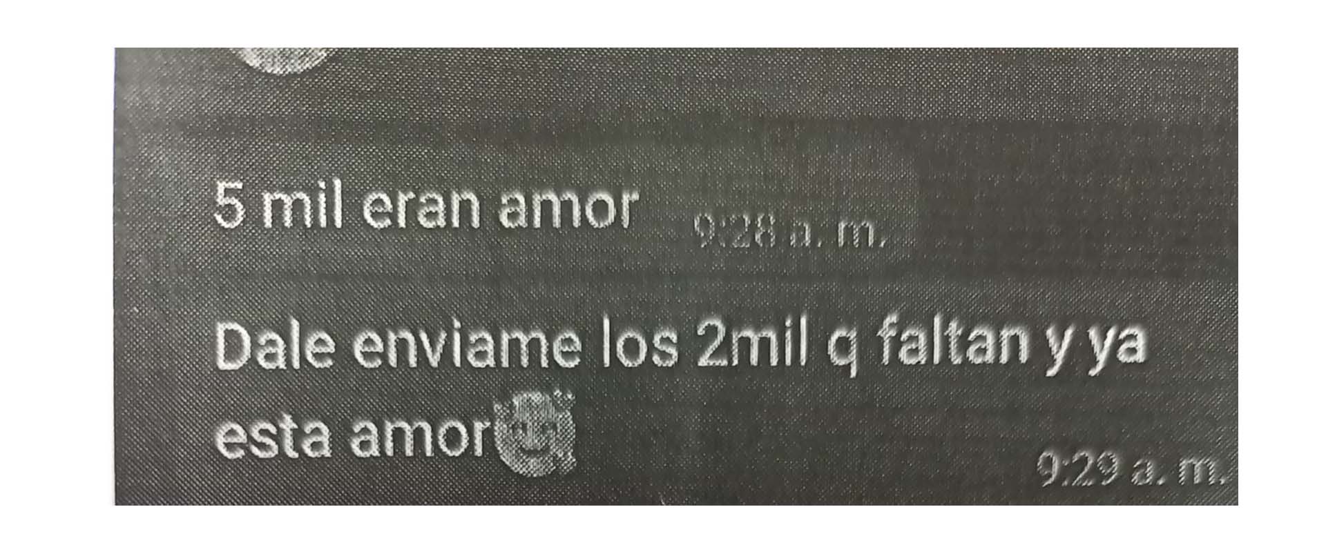 Parte del chat entre la víctima y la mujer 