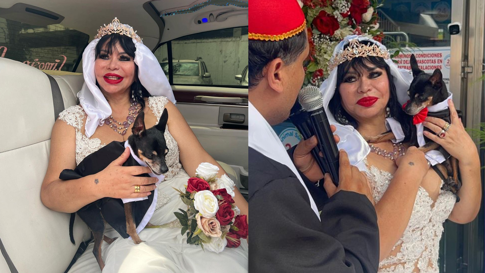 Susy Díaz se casó con su perro Chiki en el Día de San Valentín: “Con el amor de mi vida”