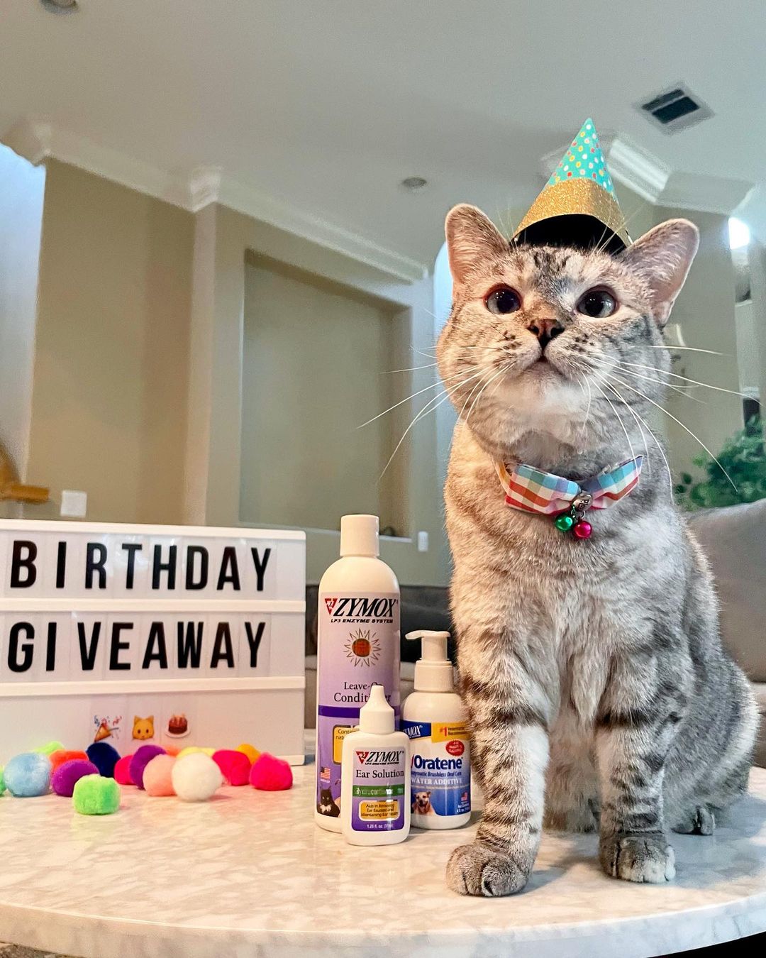 A través de su cuenta de Instagram realiza diferentes giveaways de productos para gato (@Nala_cat)