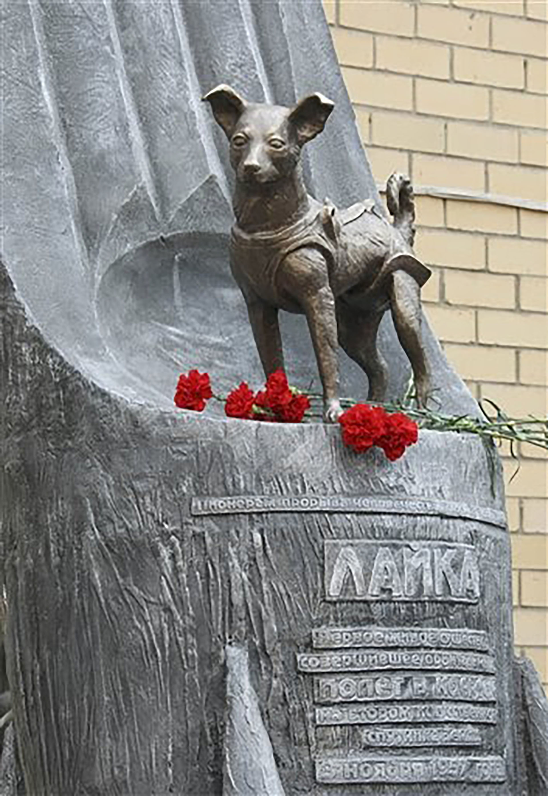 El monumento a Laika en Moscú, al que nunca le faltan flores (AP Photo/RIA-Novosti, Alexei Nikolsky) 