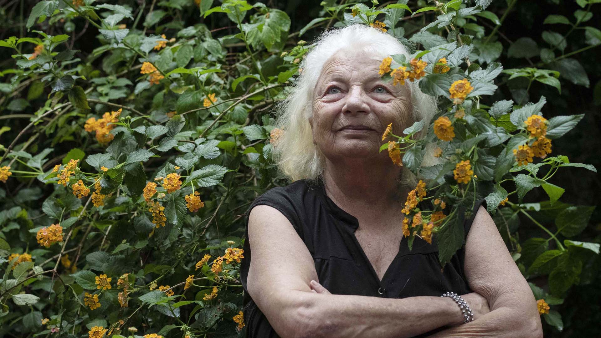 La poesía de la argentina Diana Bellessi está signada por el reino vegetal en todo su esplendor.