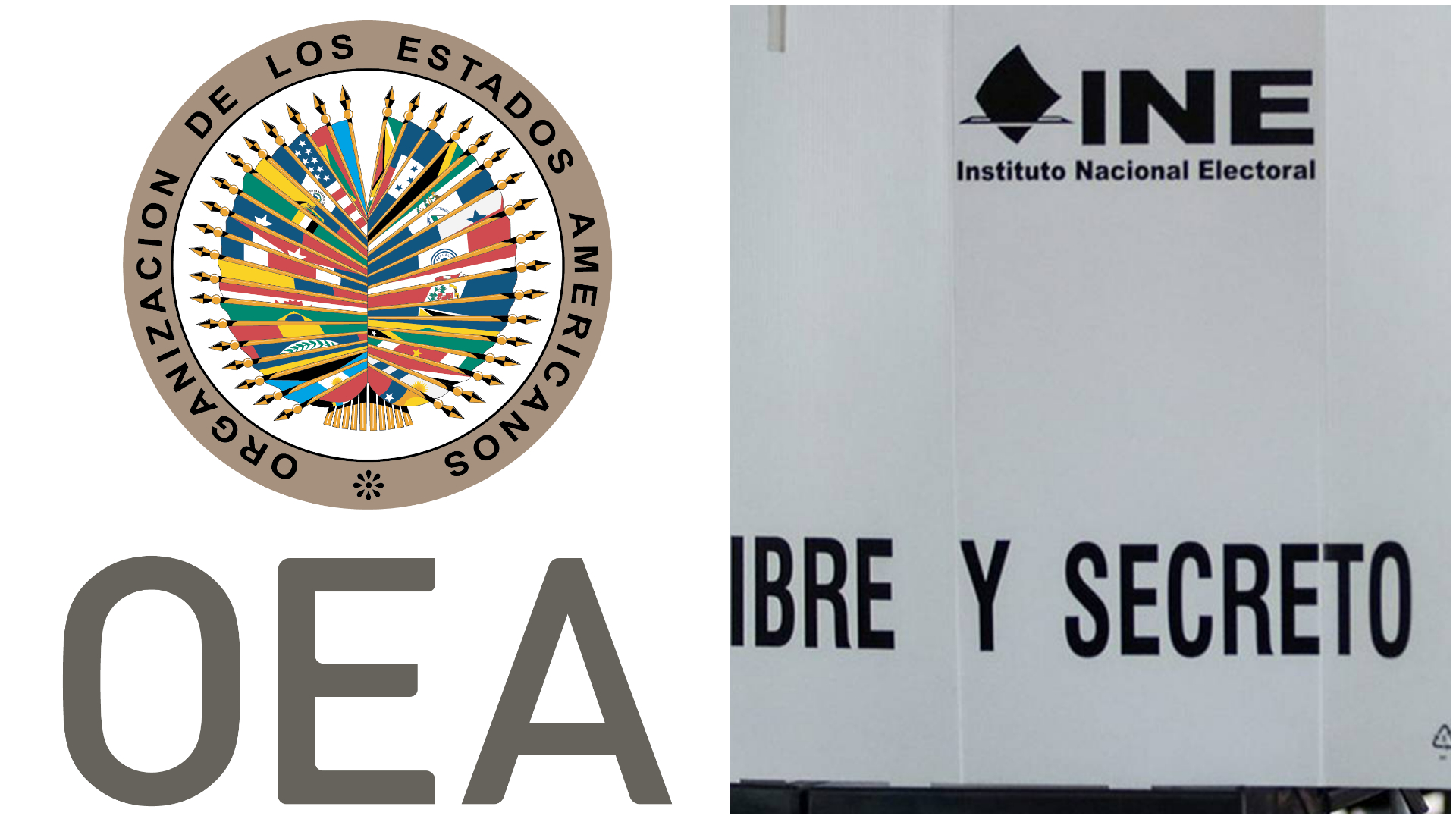 La OEA fue observadora en las elecciones de 2021 en México (OEA/Cuartoscuro)