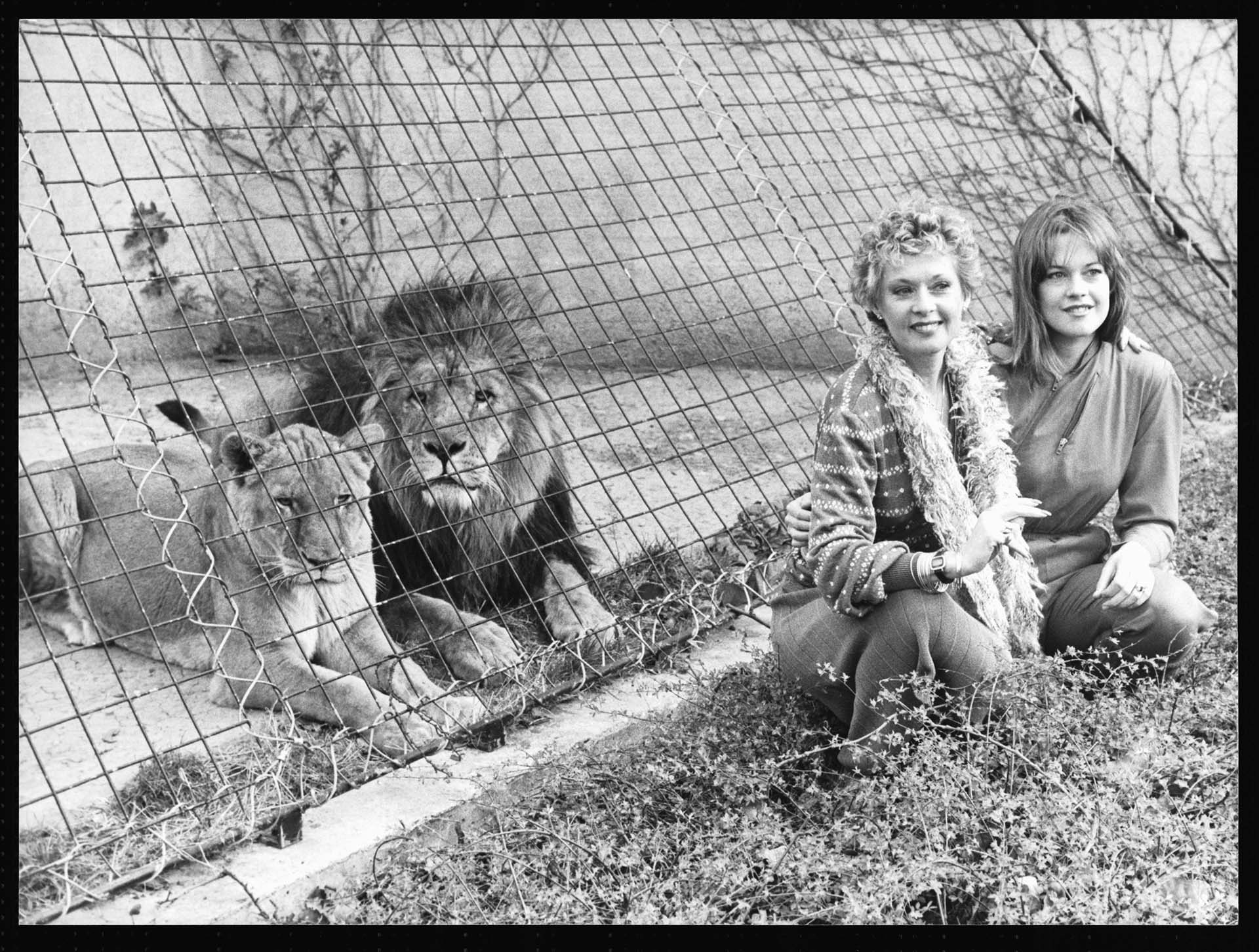 La actriz Tippi Hedren y su jija Melanie Griffith junto a los leones que tanto amaron en su vida (Hulton-Deutsch Collection/CORBIS/Corbis via Getty Images)