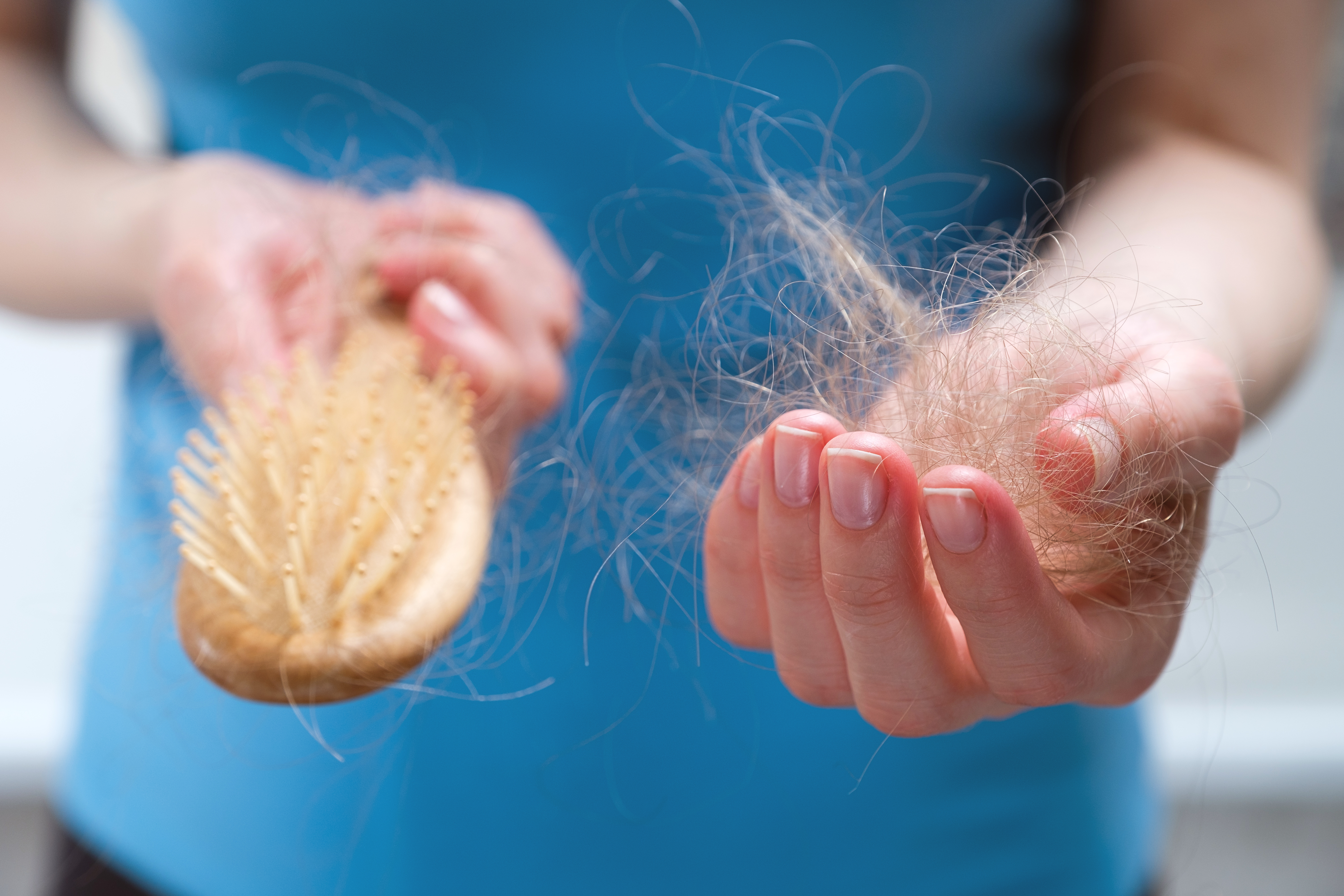 Limpiar con frecuencia los cepillos de cabello es fundamental 