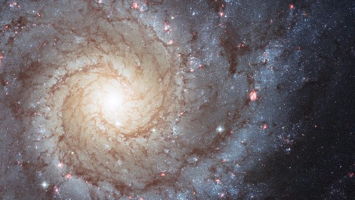 El telescopio Hubble reveló una impresionante nueva formación estelar en la galaxia fantasma