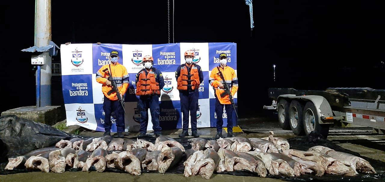 La pesca indiscriminada en el Caribe colombiano está «ahogando» a los peces  – Economista Colombia