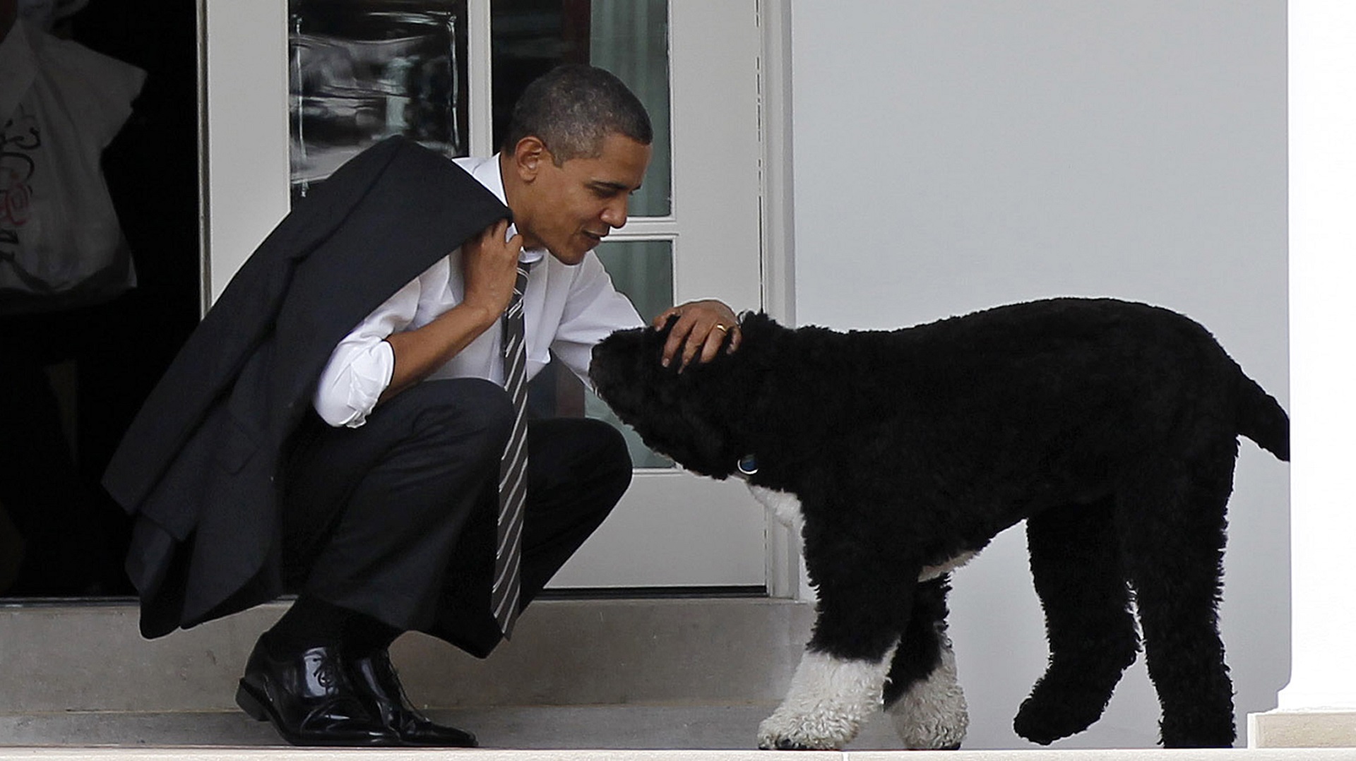 Barack Obama y Bo, en una foto de 2012 (AP)