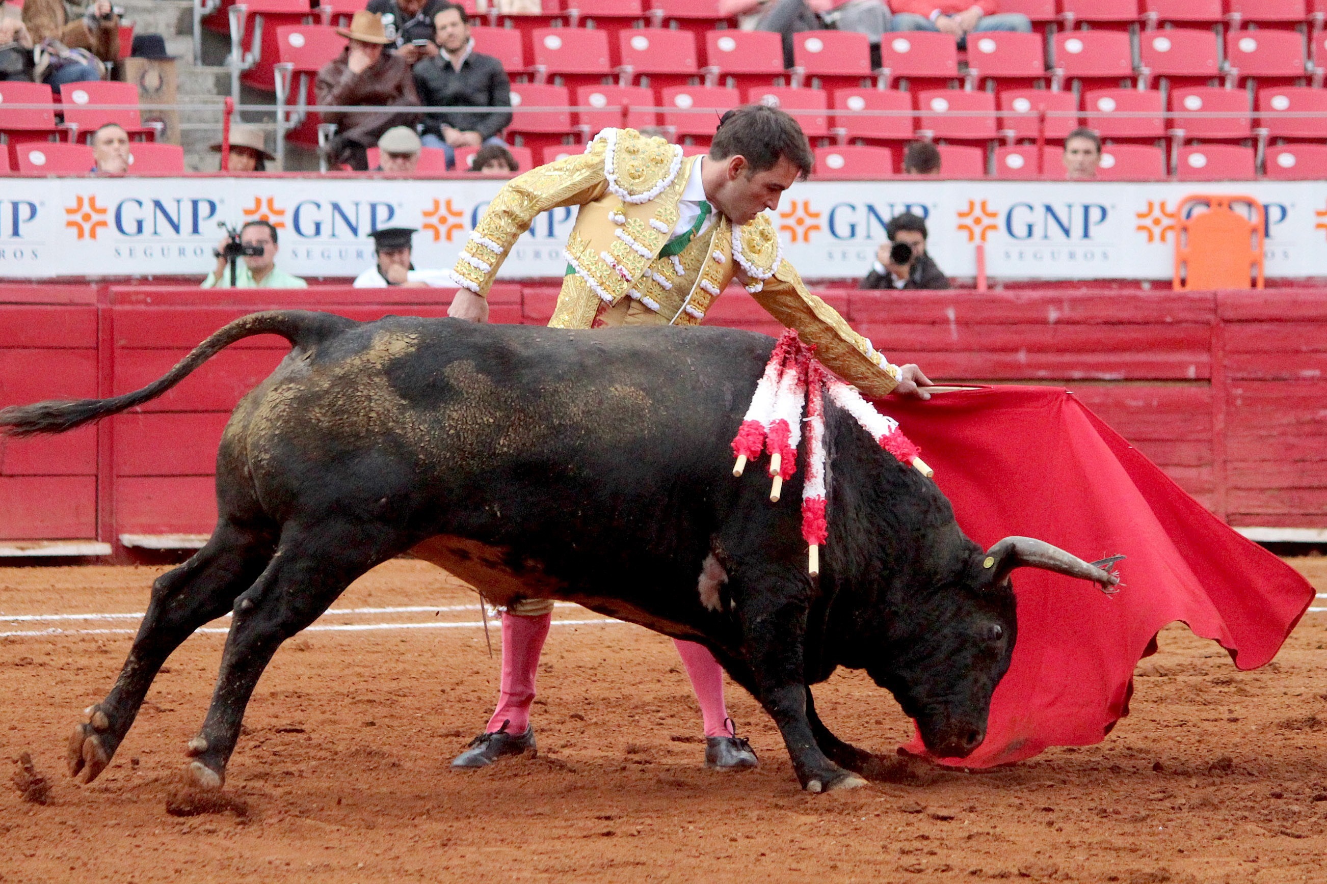 Corridas en publico