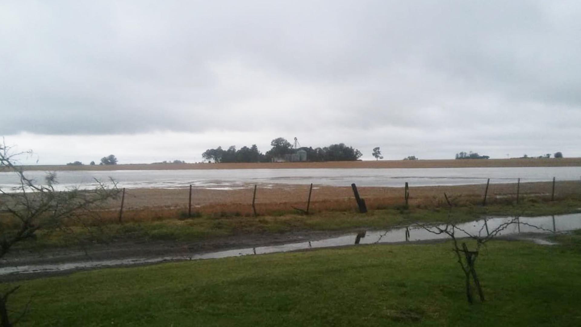 Las lluvias podrían complicar la cosecha de trigo en la provincia de Buenos Aires.