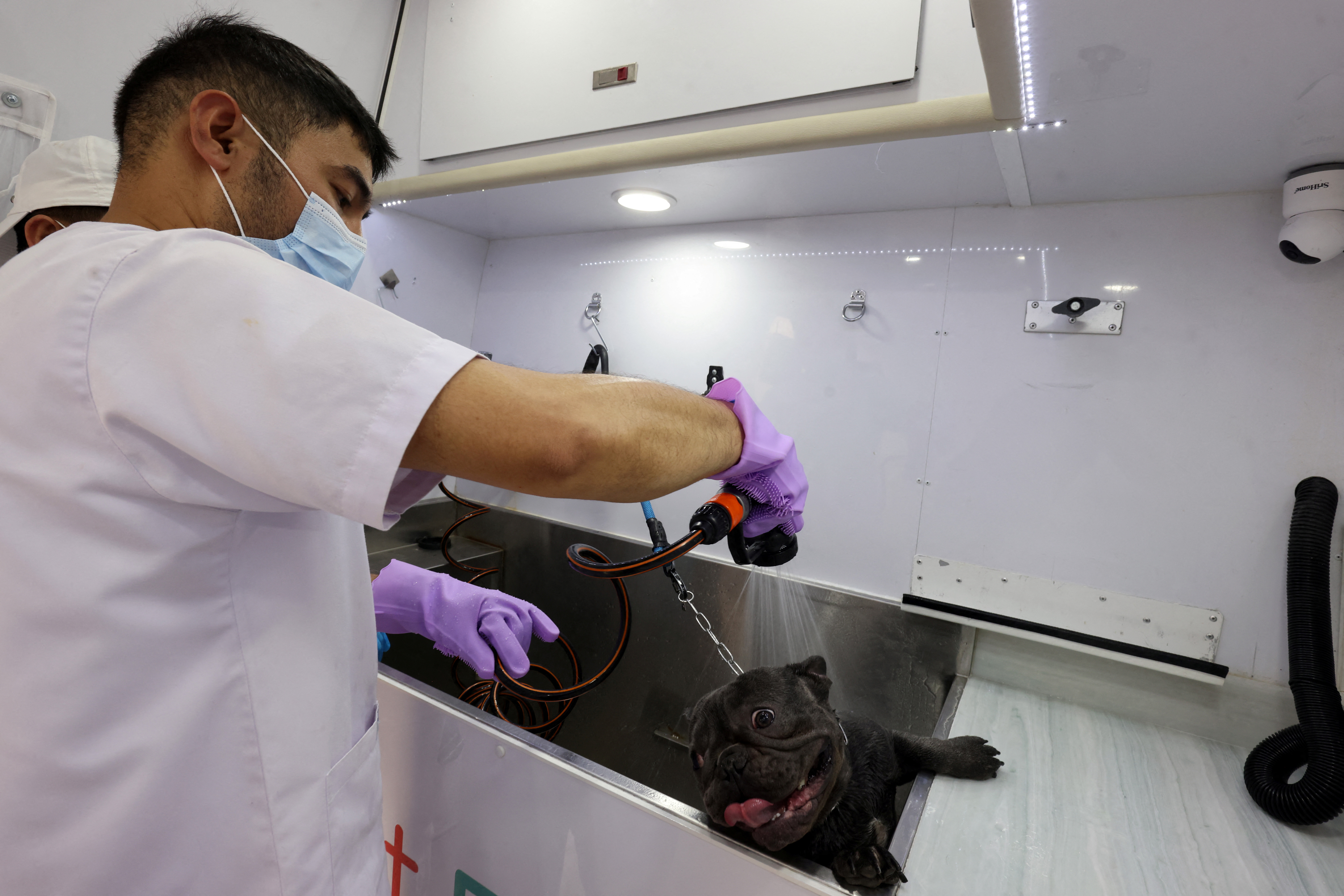 Se peude encontrar todo tipo de servicios veterinarios . REUTERS/Ahmed Yosri TPX IMAGES OF THE DAY