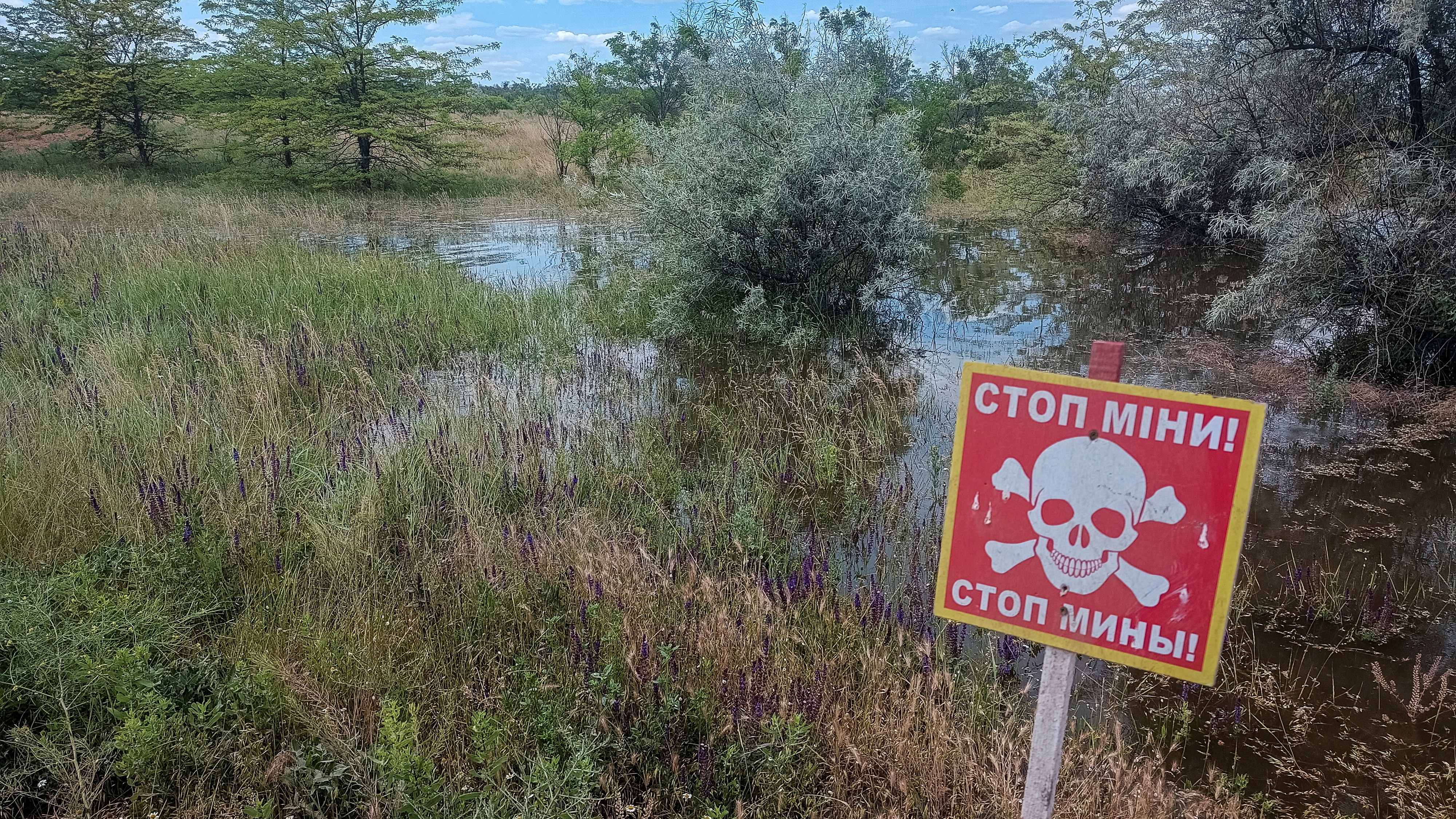La Cruz Roja alertó que las minas arrastradas por el desastre de la represa en Ucrania pone en peligro a miles de personas