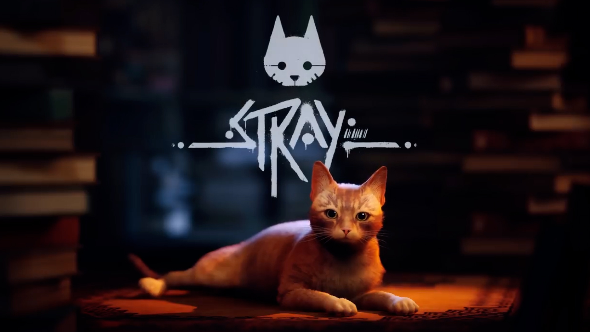 Este videojuego tiene como protagonista a un gato callejero real: así es su historia
