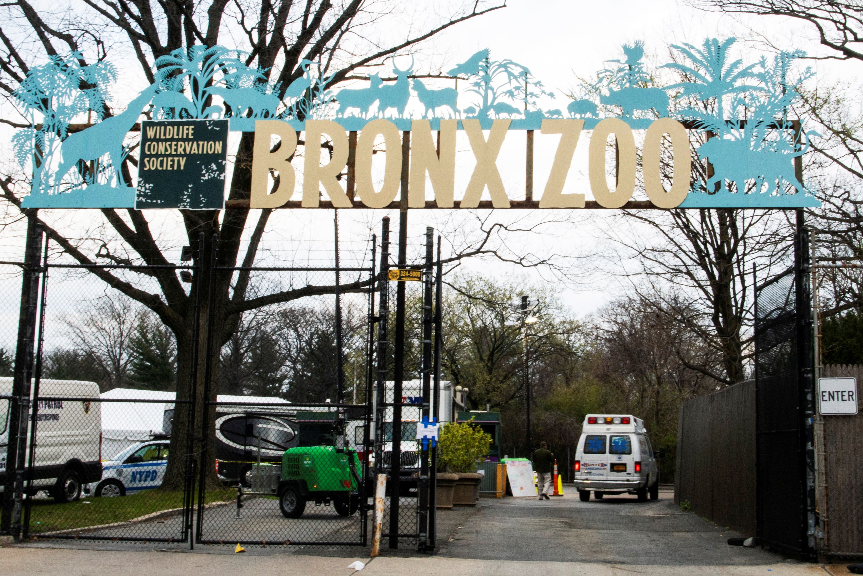 En el Bronx Zoo habrá un show de luces navideñas (Reuters)