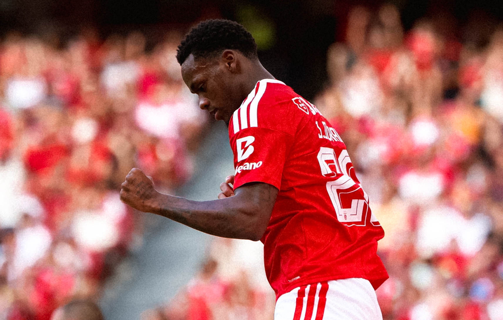 Jhon Jáder Durán se ganó los primeros elogios en Benfica: “Puede ser, si  quiere, extremadamente importante” - Infobae