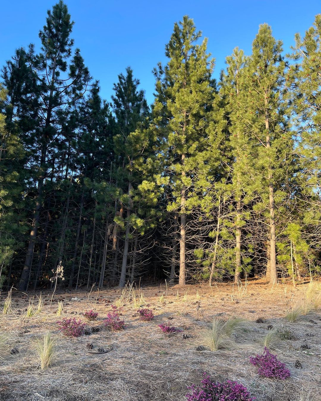 Las vacaciones de Gime Accardi y Nico Vázquez en San Martín de los Andes