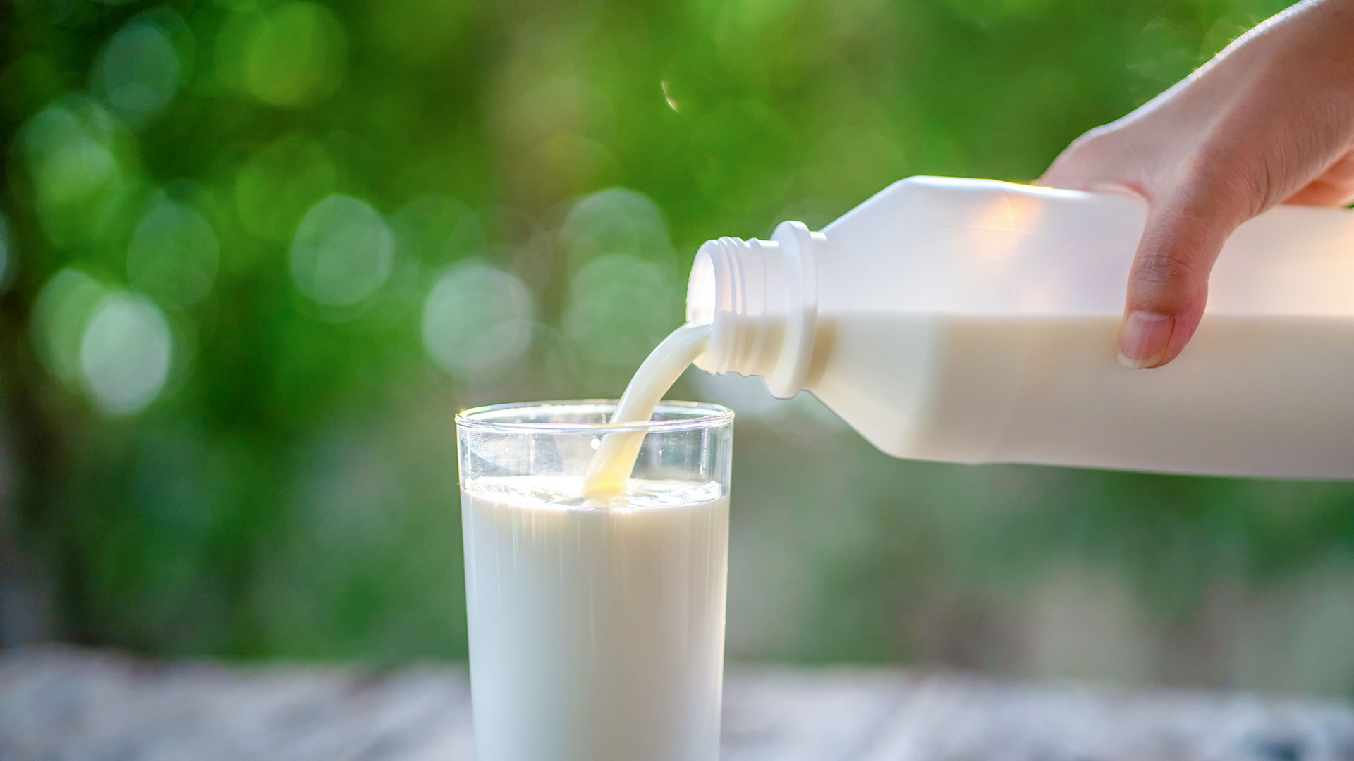 La leche es un alimento muy nutritivo que proporciona energía, proteínas y micronutrientes (Getty)