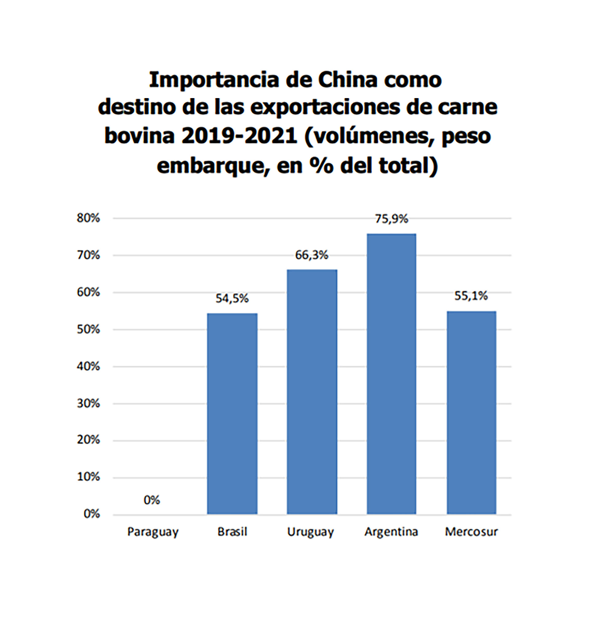 El informe muestra que en materia de exportaciones de carne Argentina tiene una altísima dependencia de China