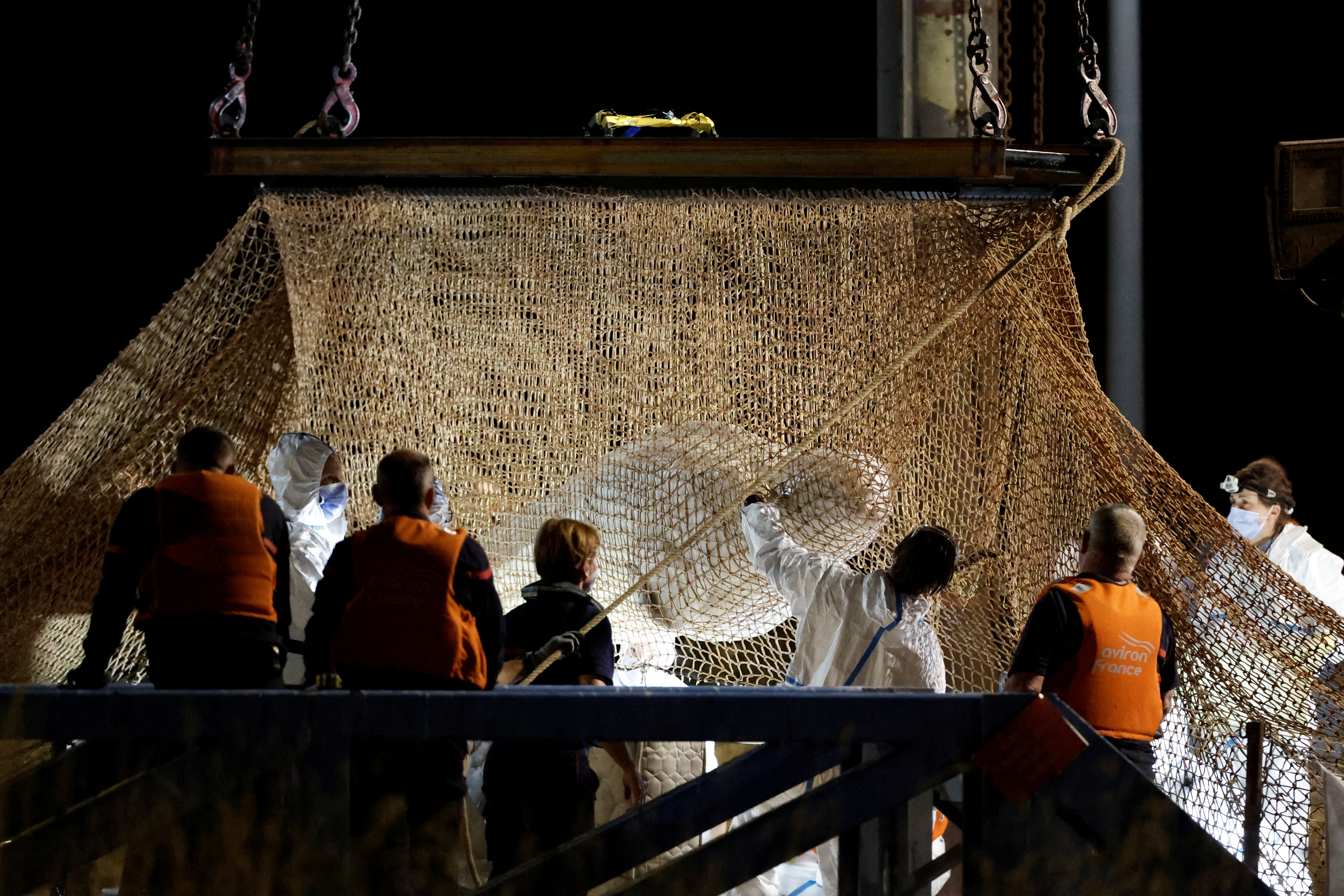 Bomberos y miembros de un equipo de búsqueda revisan a la beluga rescatada en Saint-Pierre-la-Garenne, Francia, el 10 de agosto de 2022 (REUTERS/Benoit Tessier)