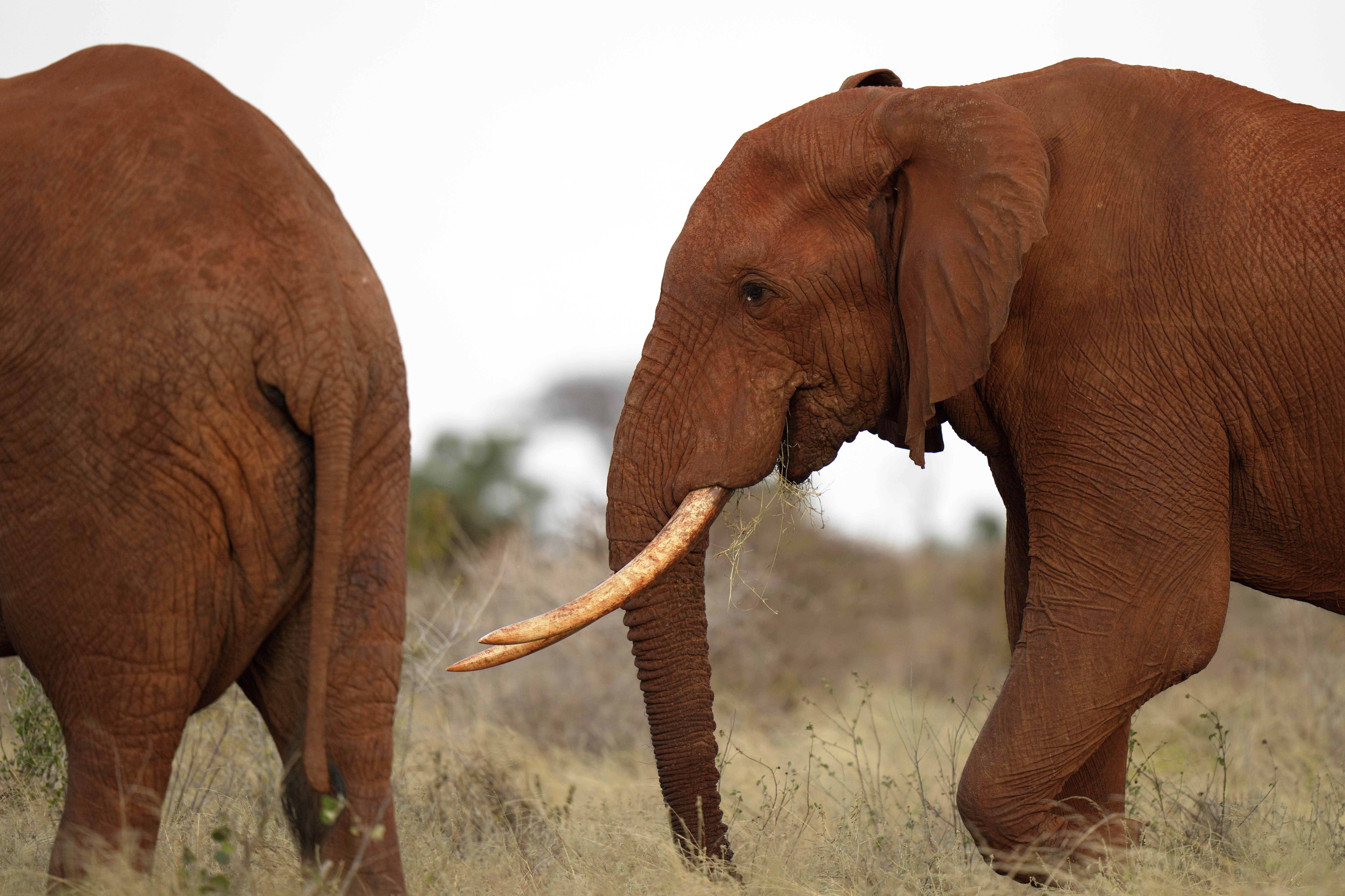Martín Yeza: “Si el PRO quiere hacer algo serio, tiene que pensarse al 2031″ 