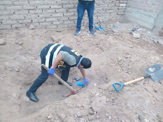 Droga en Cañete: Más de 355 kilos de cocaína fueron descubiertos enterrados en una casa