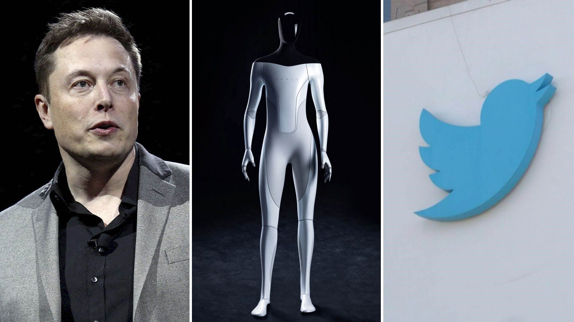 Musk, a design of "Optimus" and the little bird of Twitter, the company that no longer wants, but would be forced to buy 
