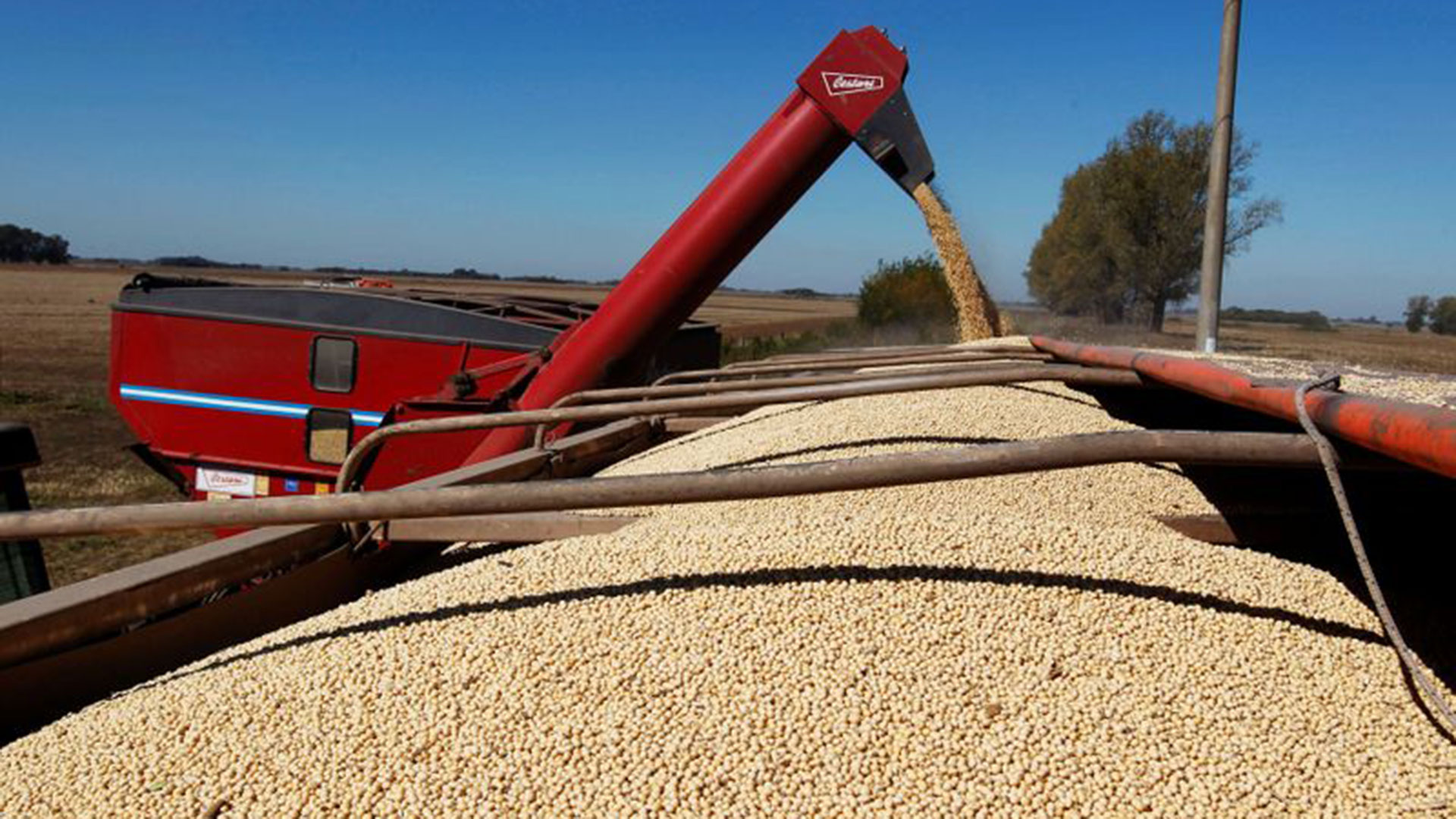 La soja sube de precio pero hay expectativas de una menor producción por el fenómeno de La Niña