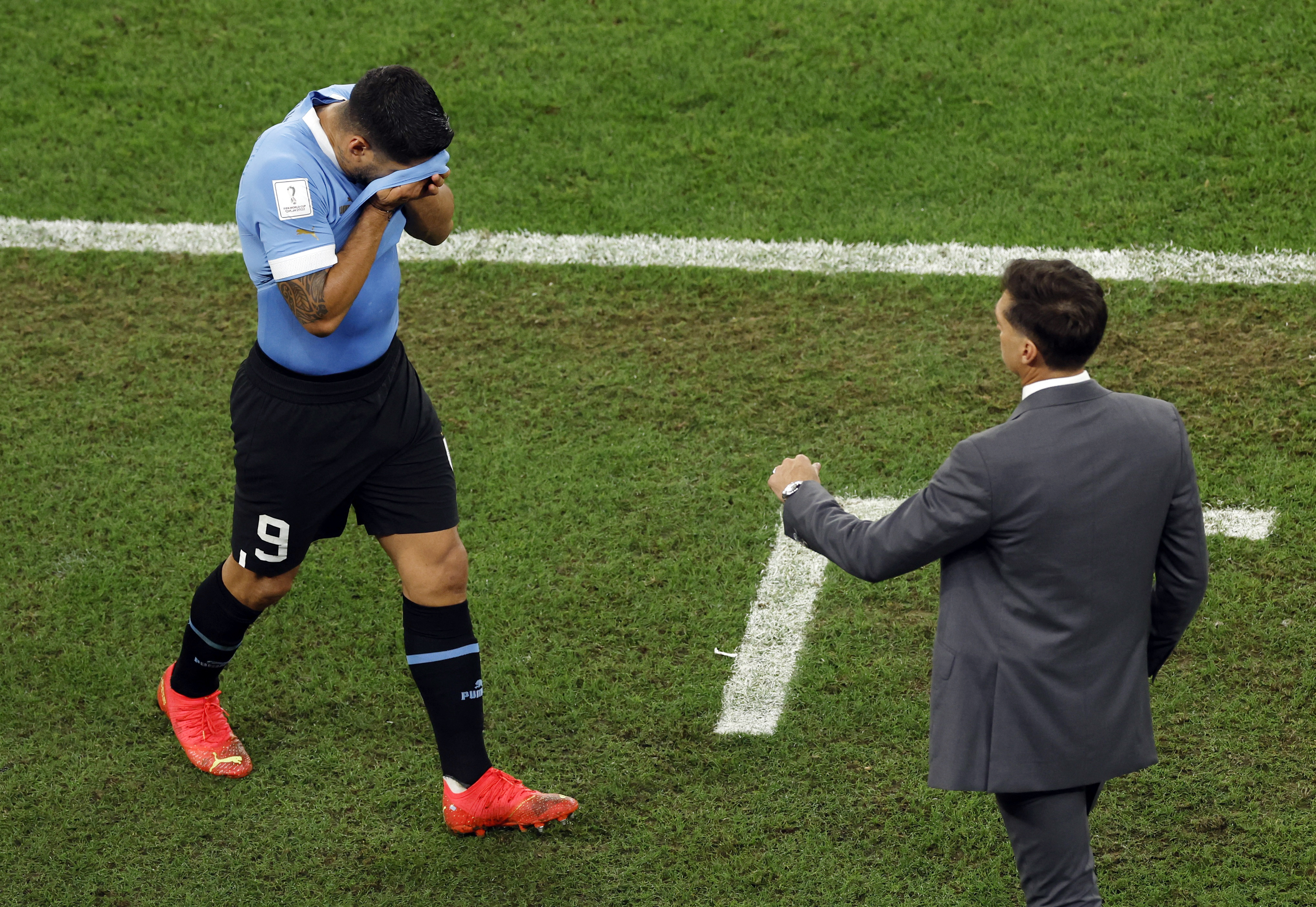 Barbero Detallado Directamente El desconsolado llanto de Luis Suárez tras la eliminación de Uruguay del  Mundial Qatar 2022 - Infobae