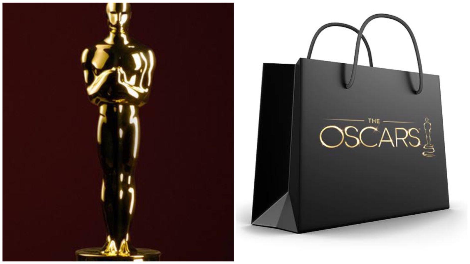 make it flat financial Thought What is in the gift bag of the Oscar nominees - Infobae