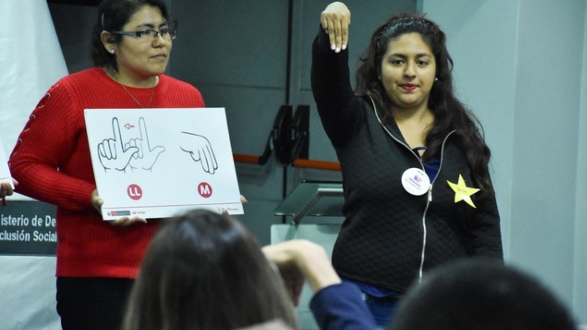 Esta es la lista de todos los colegios especializados en lengua de señas para personas sordas en Perú