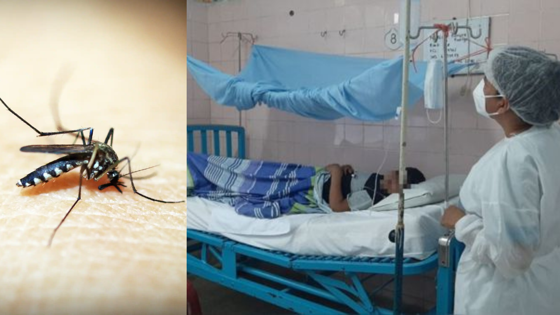 Piura confirms first death from dengue