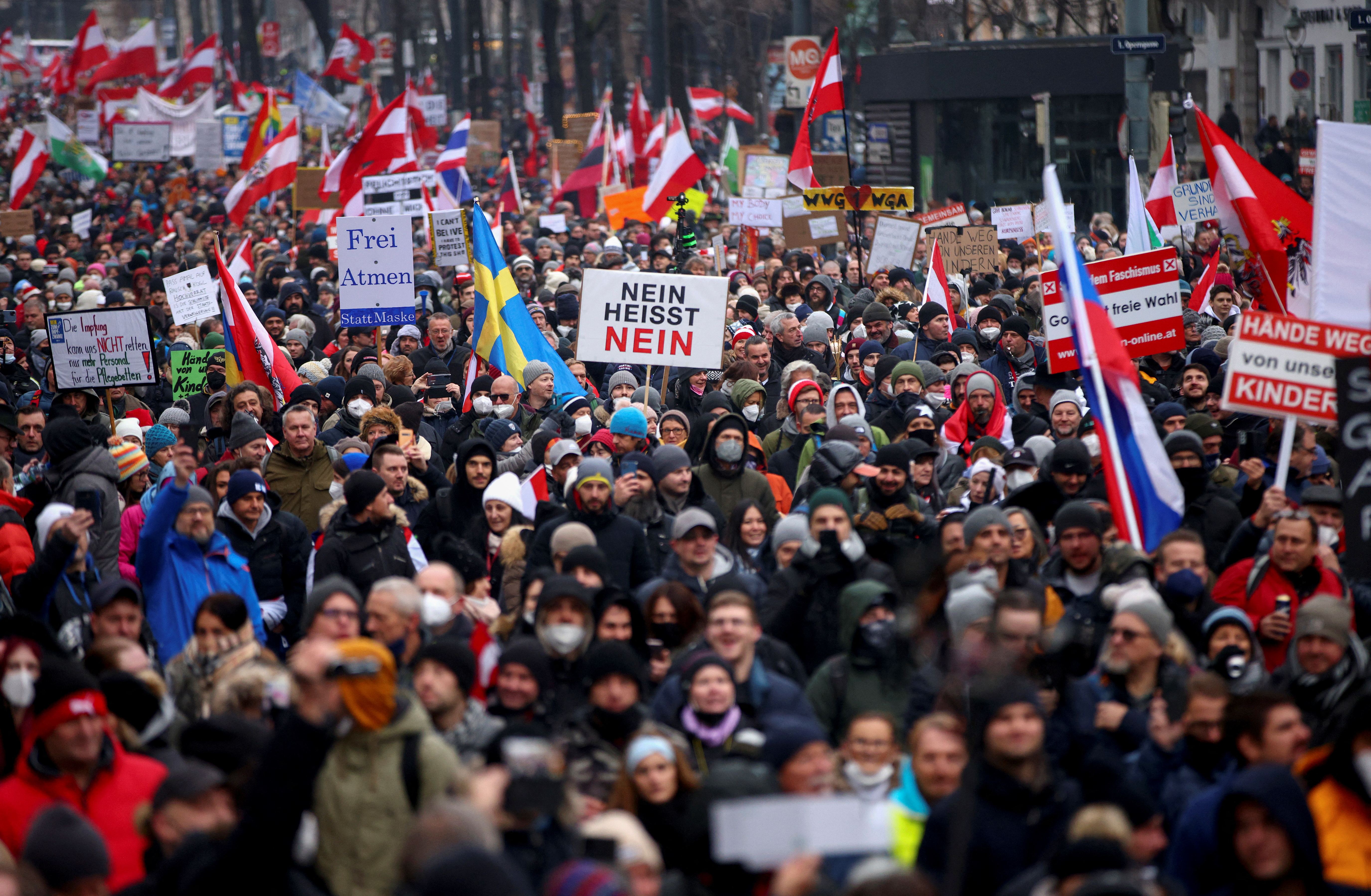 Manifestantes sostienen banderas y pancartas en una protesta contra las medidas por el COVID-19 (REUTERS/Lisi Niesner)