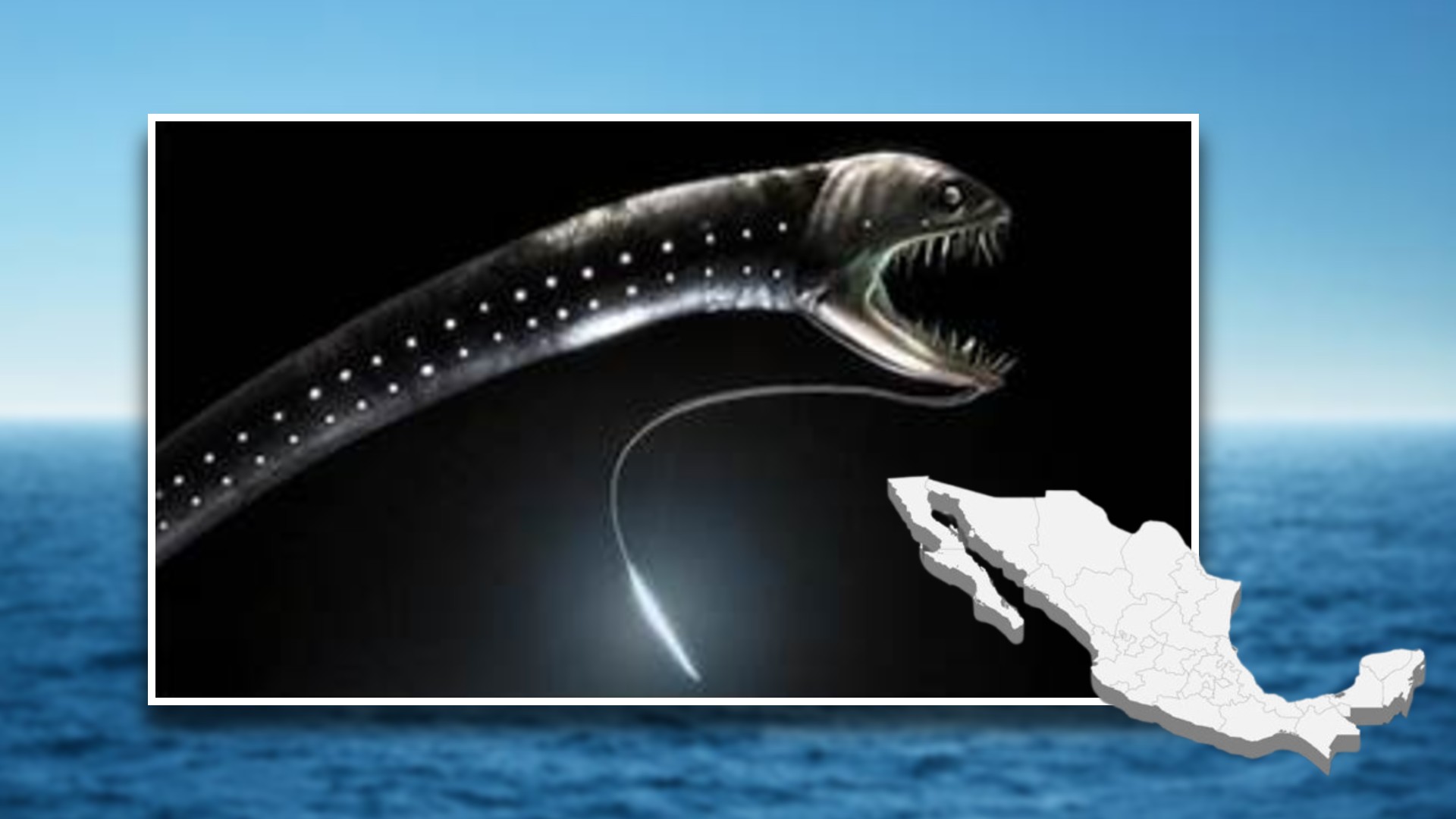 ¿Hay fosas abisales en los litorales mexicanos? Esto es lo que sabemos  sobre los animales que las habitan - Infobae, image size:1920x1080