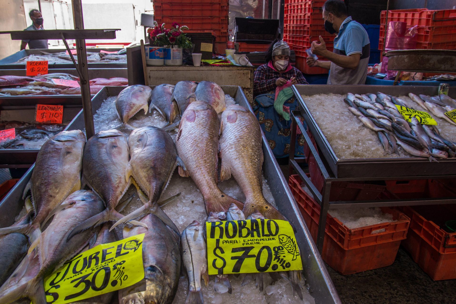 Qué pescados recomienda consumir Profeco en cuaresma - Infobae