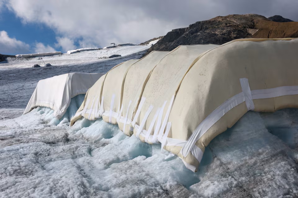 Cuatro universitarios suizos taparon un glaciar de los Alpes con lana de oveja y lograron reducir su deshielo en más de un 50% en solo tres meses  