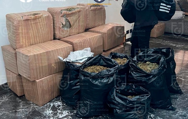 Golpe al narco en CDMX: decomisaron 200 kilos de drogas en alcaldía Benito Juárez