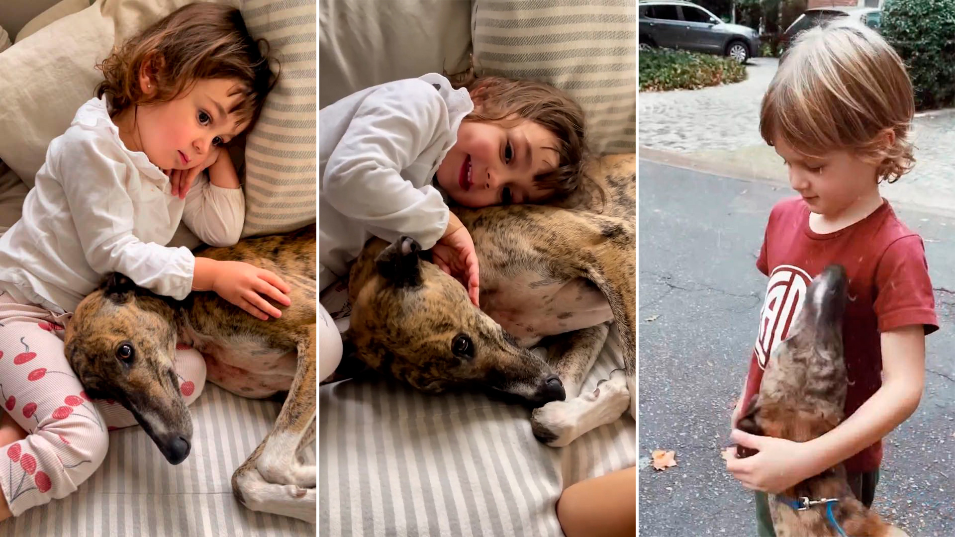 Paula Chaves y Pedro Alfonso adoptaron a una perra y la presentaron con un tierno video junto a sus hijos