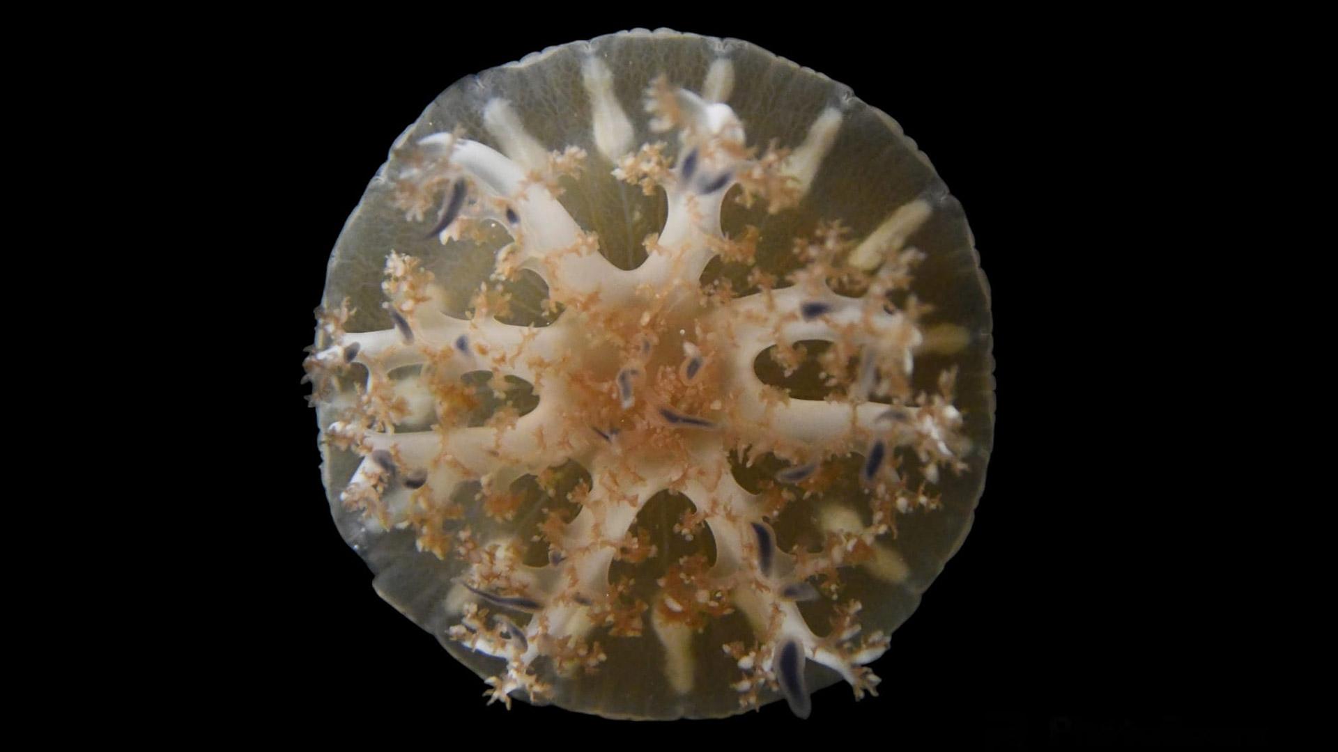 Paritarias: cómo será la pelea salarial de 2026, el impacto de la reforma laboral y quiénes pueden ganar y perder