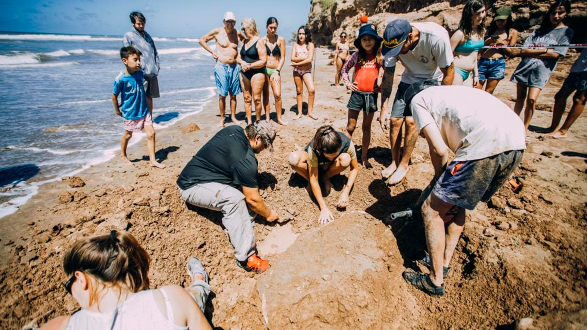 Expertos desentierran los restos de dos gliptodontes, en una playa en la localidad de Chapadmalal, provincia de Buenos Aires. (Gentileza: La Capital de Mar del Plata)