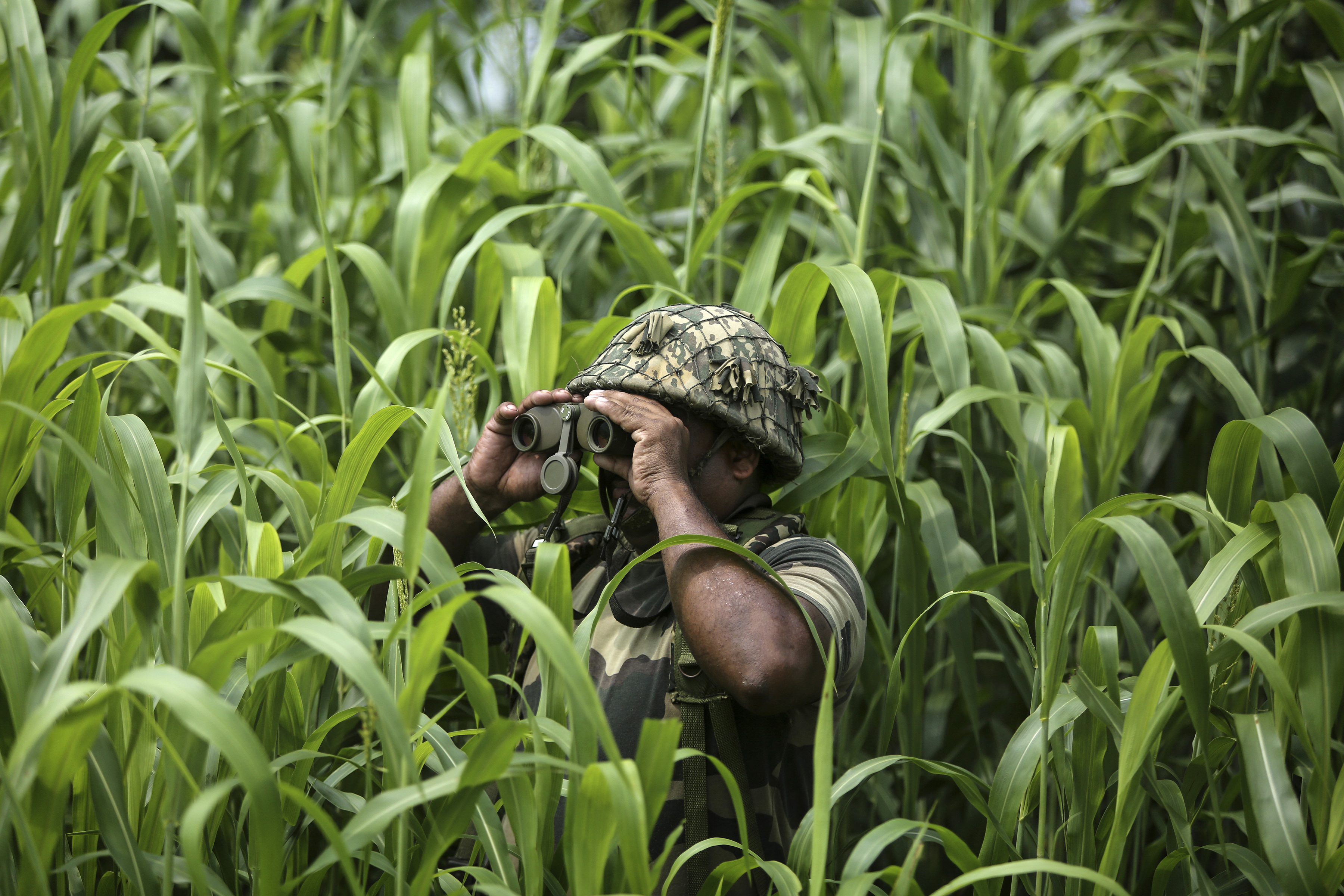 Un soldado de la Fuerza de Seguridad Fronteriza de la India (BSF) vigila cerca de la frontera entre India y Pakistán en Garkhal en Akhnoor, a unos 35 kilómetros (22 millas) al oeste de Jammu, India, el 13 de agosto de 2019.  (Foto AP / Channi Anand)