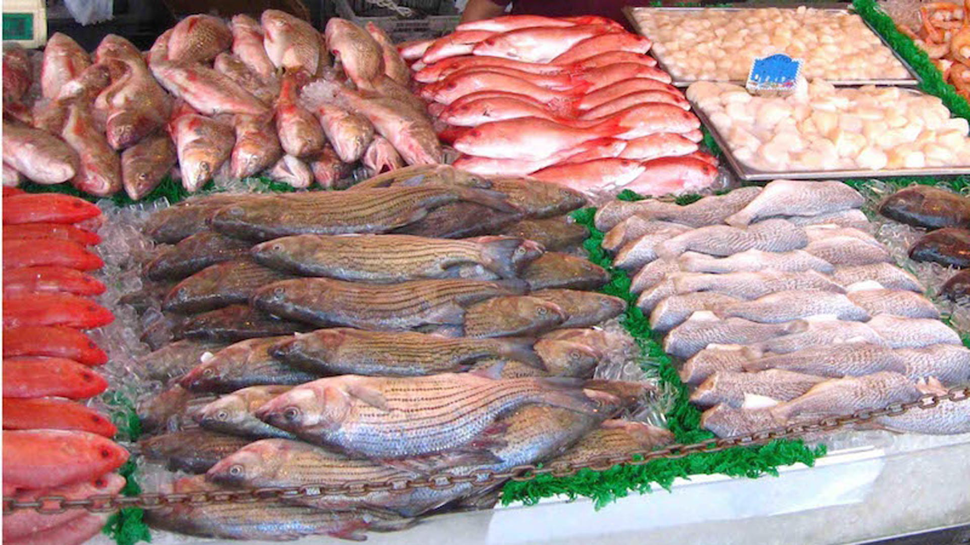 En Argentina hay poco consumo de pescado por habitante, por día, según explica Alberto Cormillot