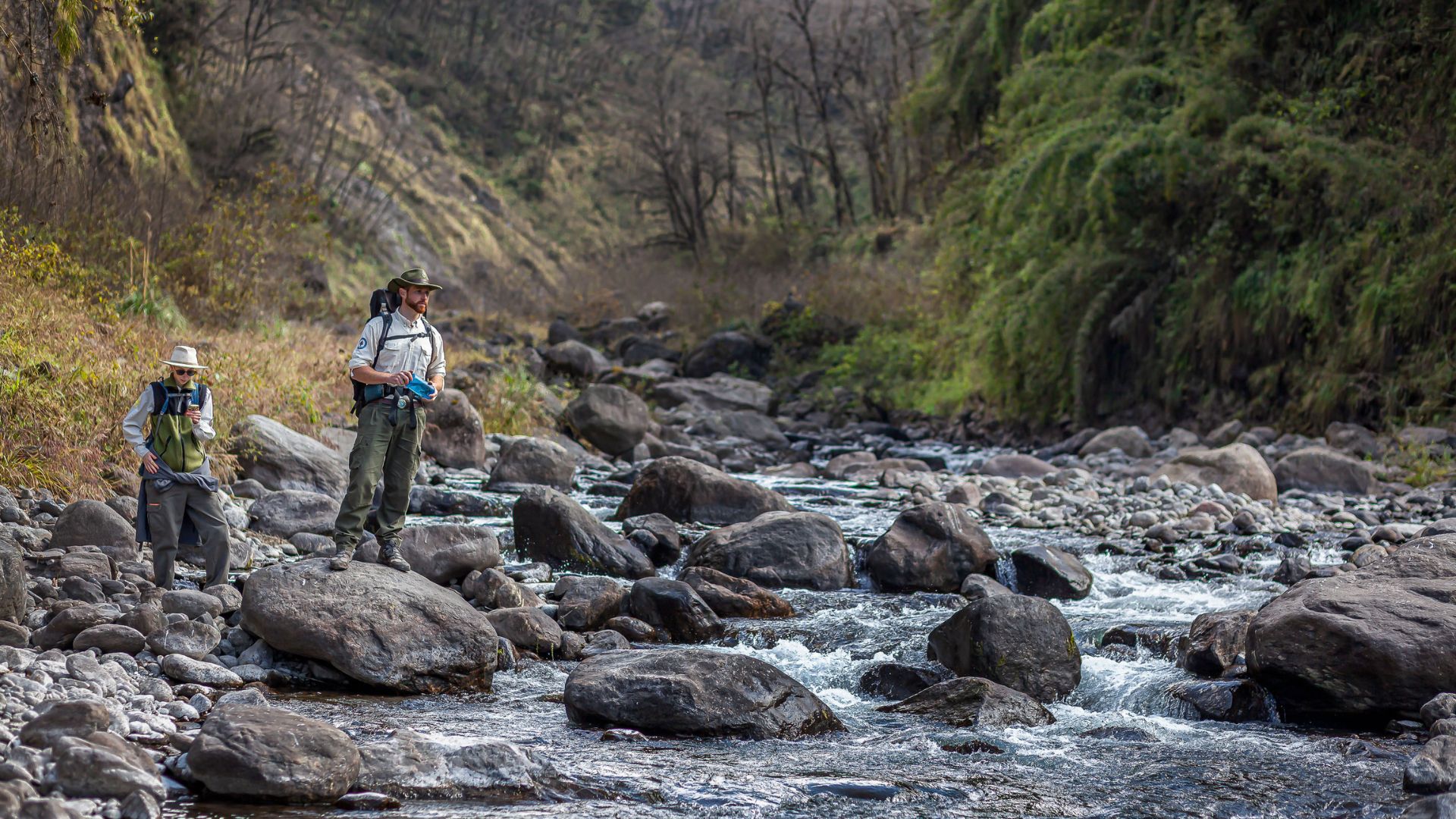 Parque Nacional Aconquija: los secretos de un lugar que une la biodiversidad con la cultura inca