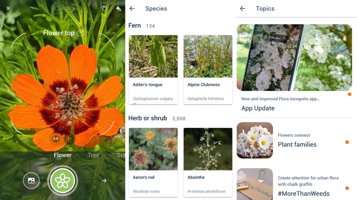 Aplicación que permite escanear plantas y conocer información de ellas.